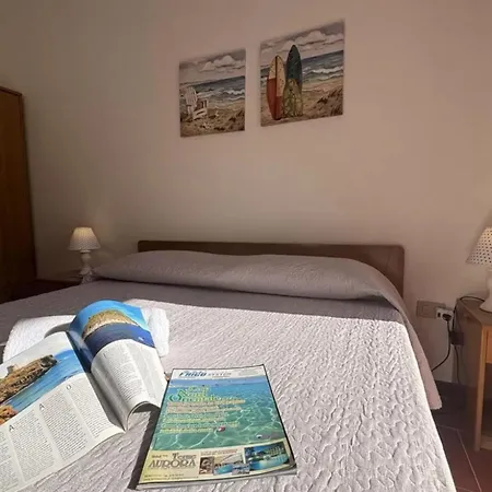 Bright Flat Near The Beaches Of Lu Bagnu *
